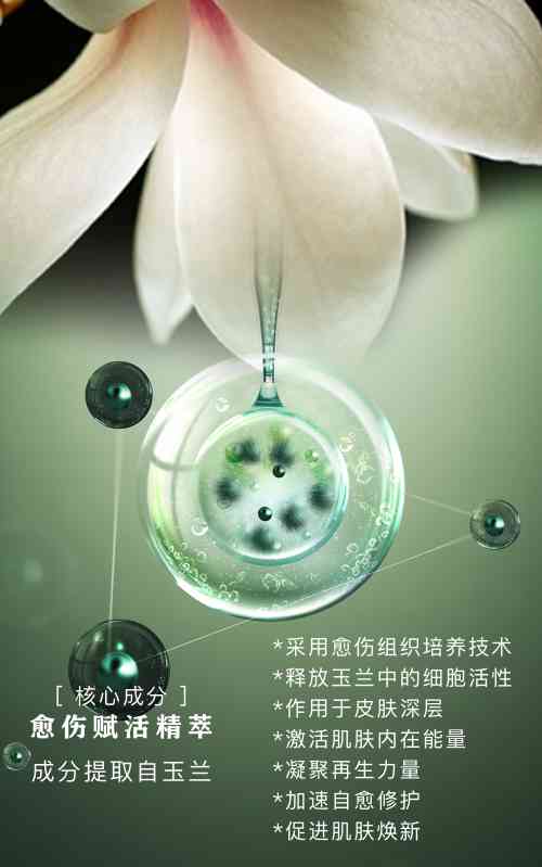 诗臻泊化妆品排名第几(上海诗臻泊化妆品有限公司)插图10