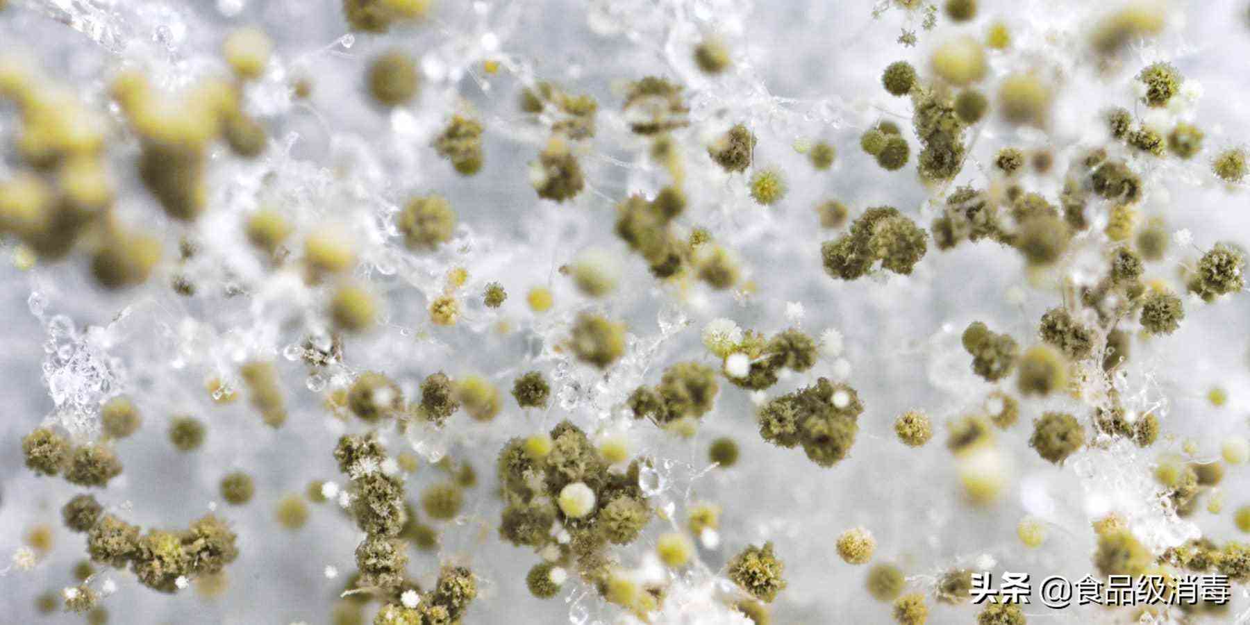 化妆品可以在水里消毒吗(消毒水可以擦皮肤吗)插图1 化妆品可以在水里消毒吗(消毒水可以擦皮肤吗)插图1