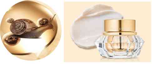 韩国伊思蜗牛黑化妆品(韩国化妆品蜗牛系列)插图4