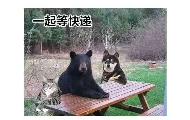 贵重物品化妆品快递暴力(化妆品发什么快递安全)插图5