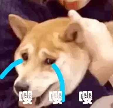 贵重物品化妆品快递暴力(化妆品发什么快递安全)插图24