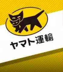 贵重物品化妆品快递暴力(化妆品发什么快递安全)插图42