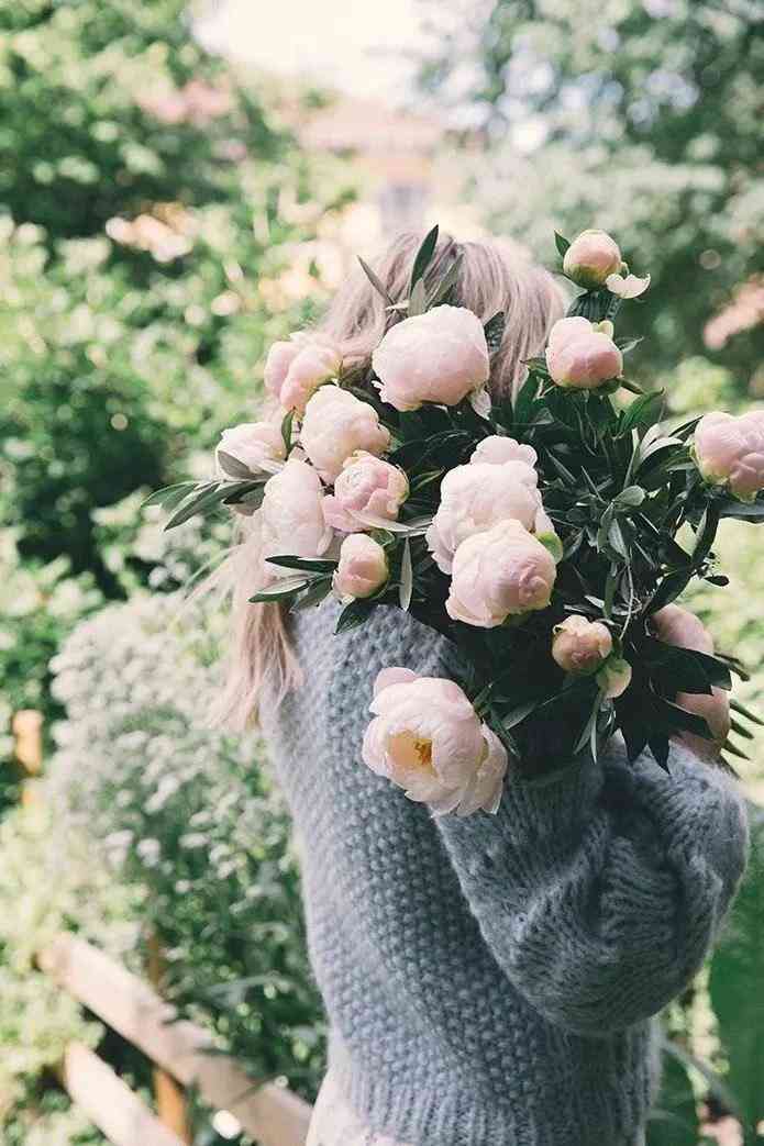 化妆品店摆什么花(女装店适合摆什么花)