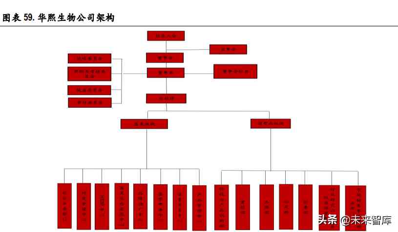 化妆品制造前景(化妆品行业的未来前景怎么样)插图16