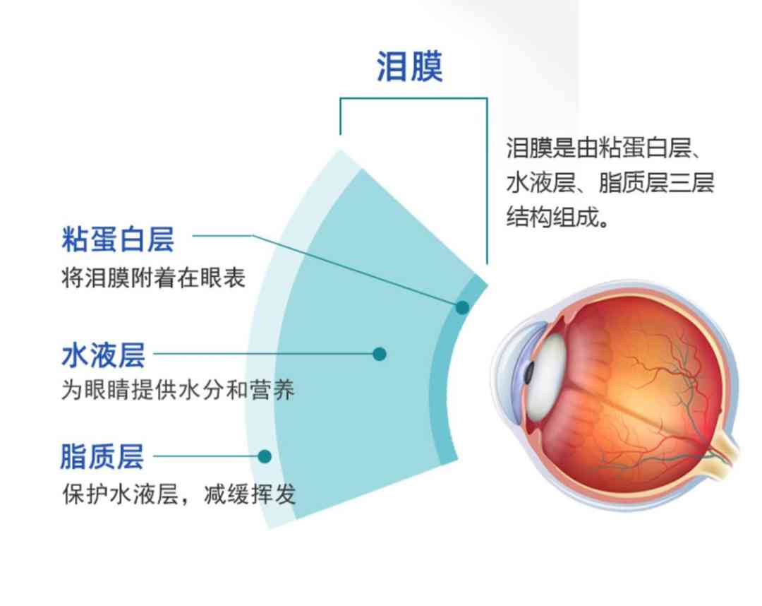 化妆品进到眼睛里及时清洗(清洗剂进眼睛了)