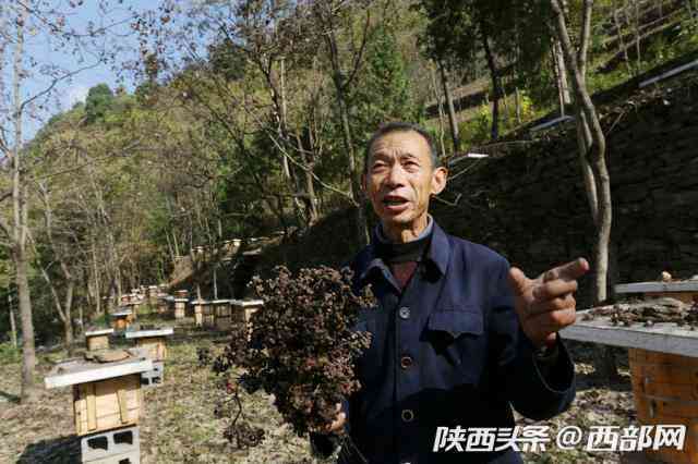 旬阳化妆品商会会长是谁(旬阳化妆品商会会长是谁呀)