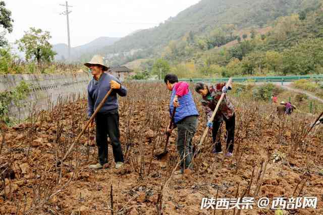 旬阳化妆品商会会长是谁(旬阳化妆品商会会长是谁呀)插图1