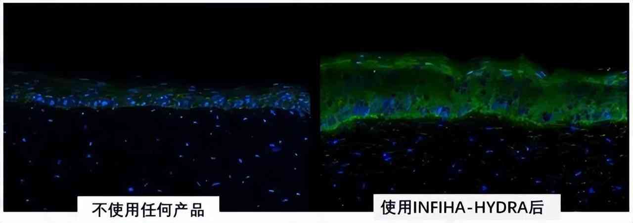 国内有名的化妆品公司(国内出名的化妆品公司)插图4