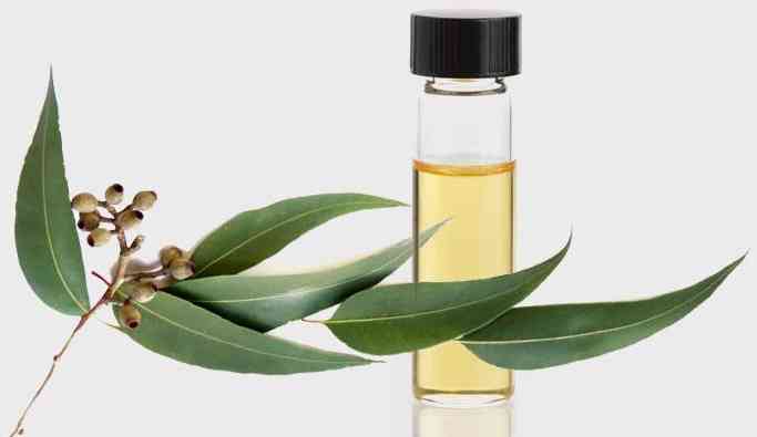 化妆品六大无添加剂(什么化妆品不含添加剂)插图5