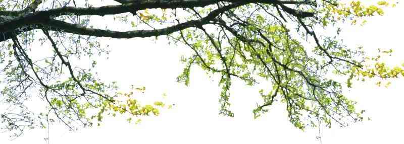 非特化妆品备案模板(非特化妆品备案流程)插图4