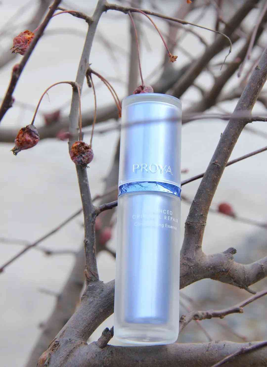 清冷易碎感化妆品(清淡化妆品)插图16