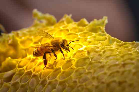 桐庐化妆品哪里买(桐庐化妆品哪里买便宜)插图2