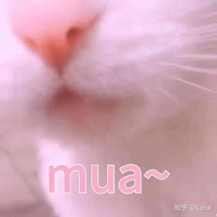 清纯妆容必备化妆品(日常妆必备化妆品)插图11 清纯妆容必备化妆品(日常妆必备化妆品)插图11