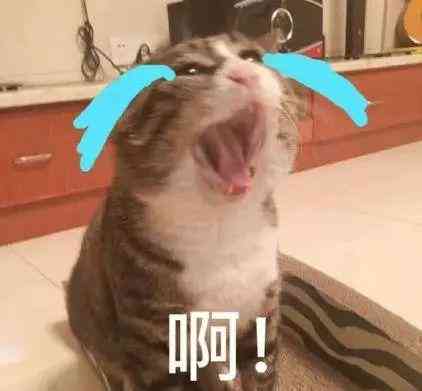 化妆品太贵了怎样回答(化妆品太贵了怎样回答客户)插图21 化妆品太贵了怎样回答(化妆品太贵了怎样回答客户)插图21