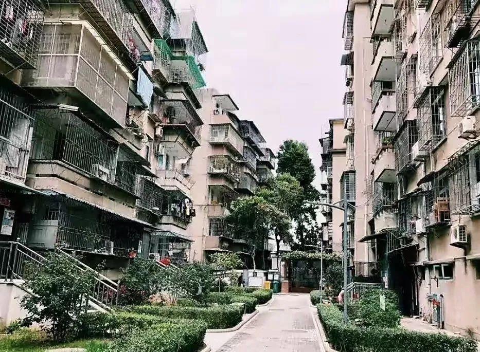 芜湖黄金.价格(今日芜湖黄金多少钱一克)插图8