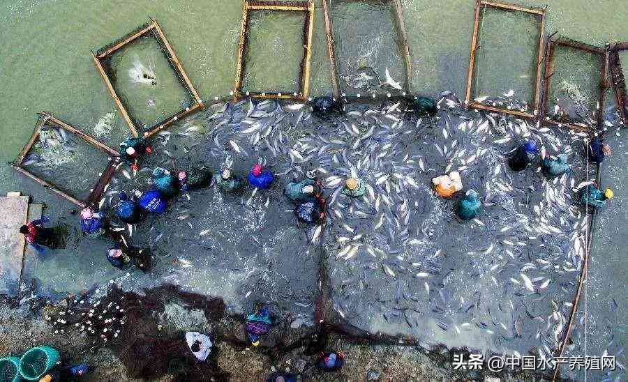 吴江地区回收黄金价格今日(吴江地区回收黄金价格今日表)插图2 吴江地区回收黄金价格今日(吴江地区回收黄金价格今日表)插图2