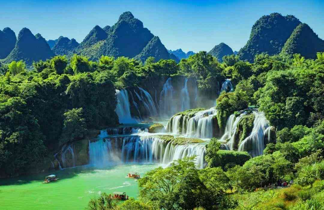 婴猴幼崽今日黄金价格(小婴猴价格)插图3