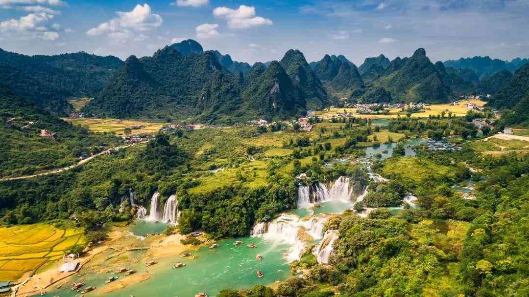 婴猴幼崽今日黄金价格(小婴猴价格)插图8