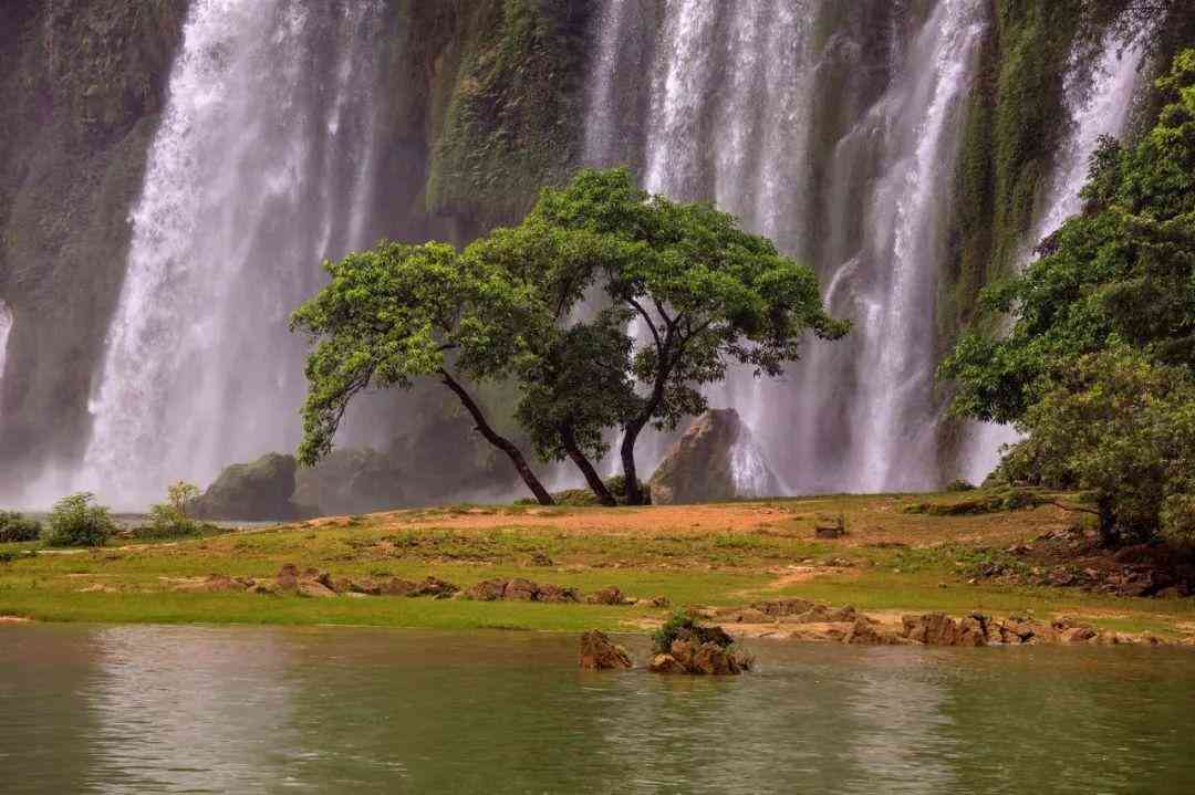 婴猴幼崽今日黄金价格(小婴猴价格)插图10