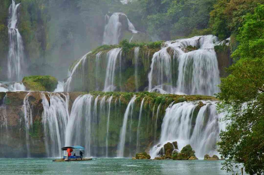 婴猴幼崽今日黄金价格(小婴猴价格)插图11