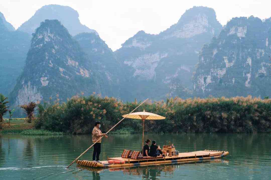 婴猴幼崽今日黄金价格(小婴猴价格)插图13