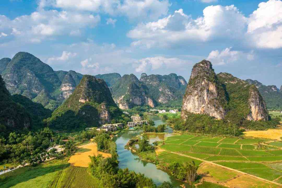 婴猴幼崽今日黄金价格(小婴猴价格)插图14