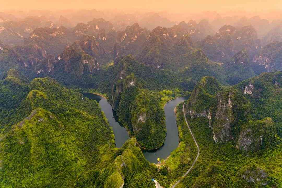 婴猴幼崽今日黄金价格(小婴猴价格)插图18