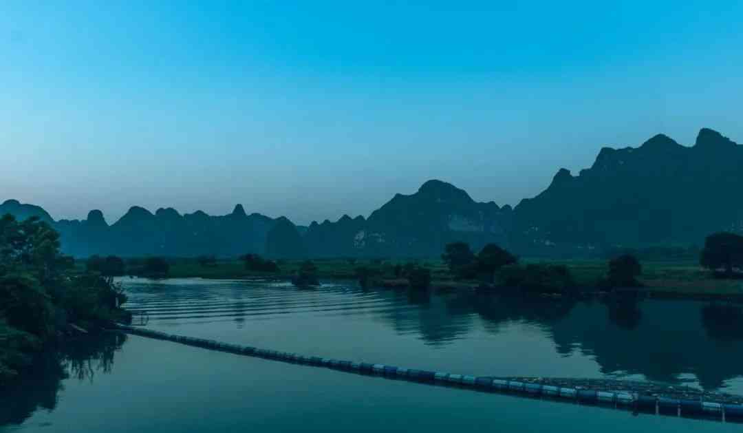 婴猴幼崽今日黄金价格(小婴猴价格)插图19