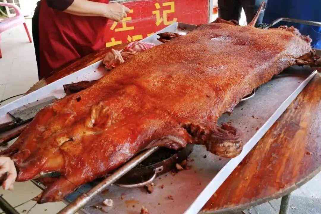 婴猴幼崽今日黄金价格(小婴猴价格)插图36