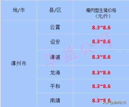 福建黄金金价今日价格(福建黄金金价今日价格表)插图1 福建黄金金价今日价格(福建黄金金价今日价格表)插图1