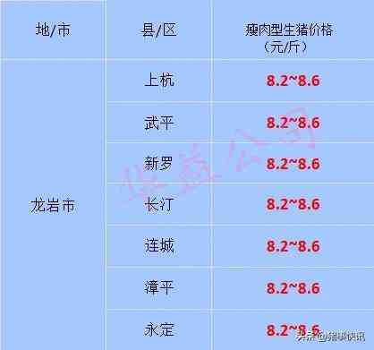 福建黄金金价今日价格(福建黄金金价今日价格表)插图2 福建黄金金价今日价格(福建黄金金价今日价格表)插图2