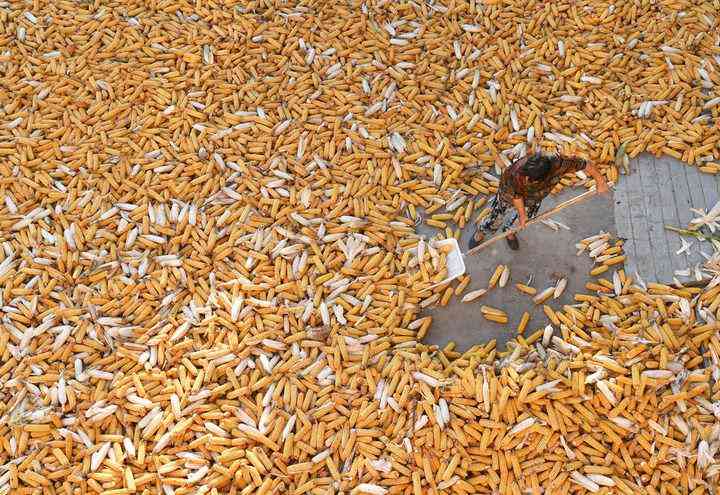 宝清县今日黄金价格(宝清县今日黄金价格查询)插图2 宝清县今日黄金价格(宝清县今日黄金价格查询)插图2