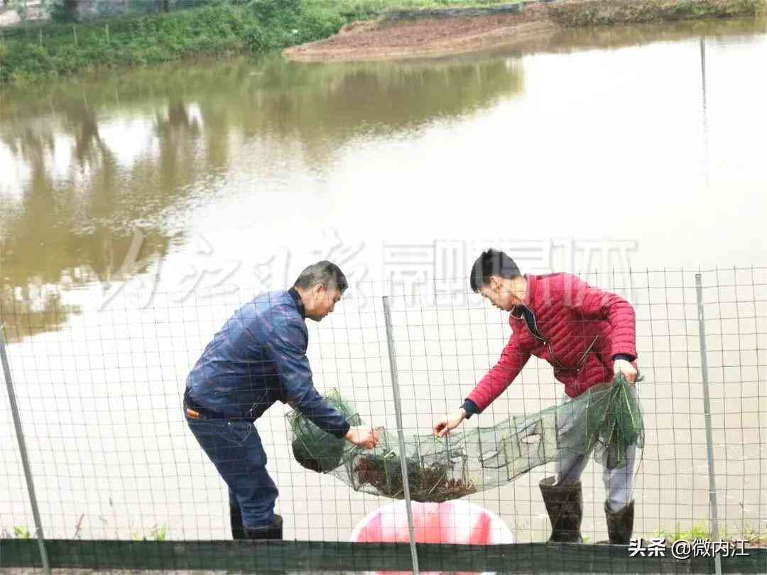隆昌今日黄金价格查询(隆昌今日黄金价格查询消息)插图3 隆昌今日黄金价格查询(隆昌今日黄金价格查询消息)插图3