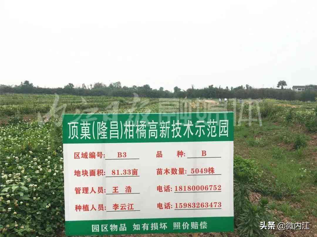 隆昌今日黄金价格查询(隆昌今日黄金价格查询消息)插图4 隆昌今日黄金价格查询(隆昌今日黄金价格查询消息)插图4