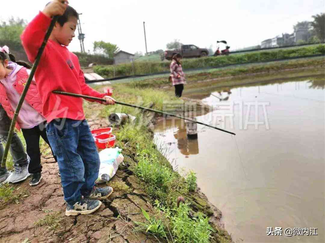 隆昌今日黄金价格查询(隆昌今日黄金价格查询消息)插图6 隆昌今日黄金价格查询(隆昌今日黄金价格查询消息)插图6