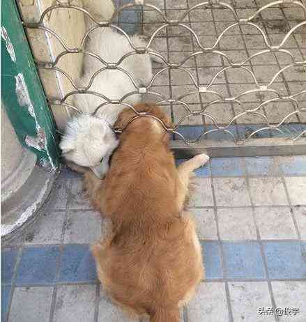 用化妆品拍的搞笑段子视频(用化妆品拍的搞笑段子视频怎么拍)