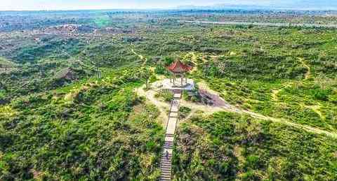 蒂奥传奇化妆品(蒂奥传奇化妆品是正品吗)