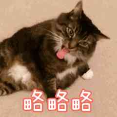 羟脯氨酸在化妆品的作用(羟脯氨酸在化妆品的作用是什么)