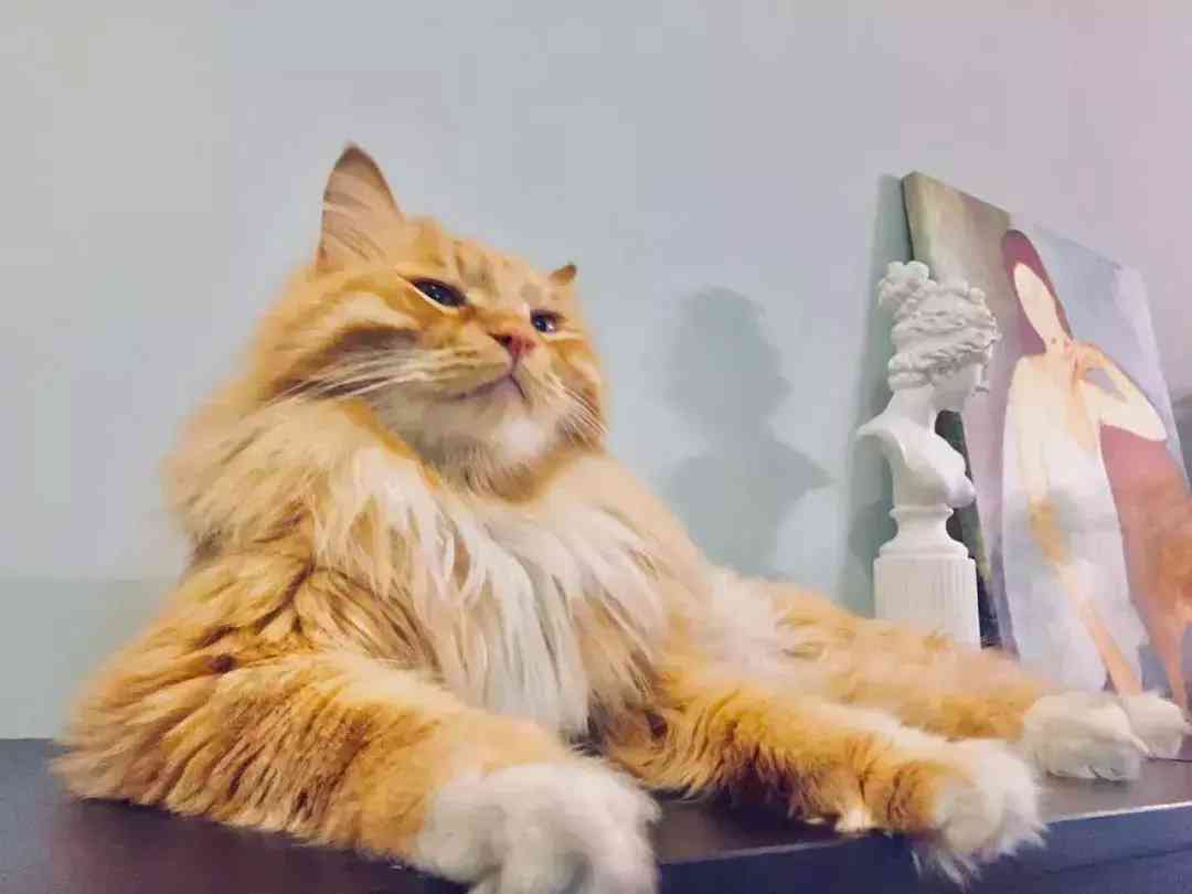 阿拉斯加化妆品图片(阿拉斯加化妆品图片高清)