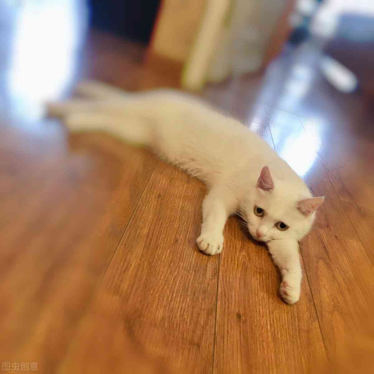 男的化妆品在哪里买(男的化妆品在哪里买比较好)