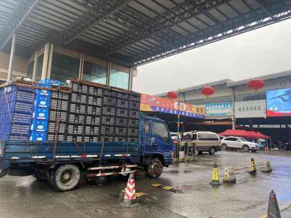 青岛电视台今日金价回收(青岛今日黄金回收价格查询)