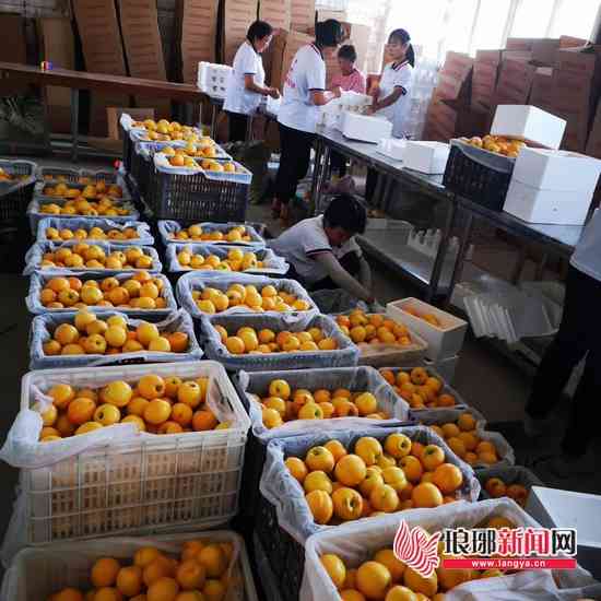 今日临沂回收黄金价格(今日临沂回收黄金价格查询)