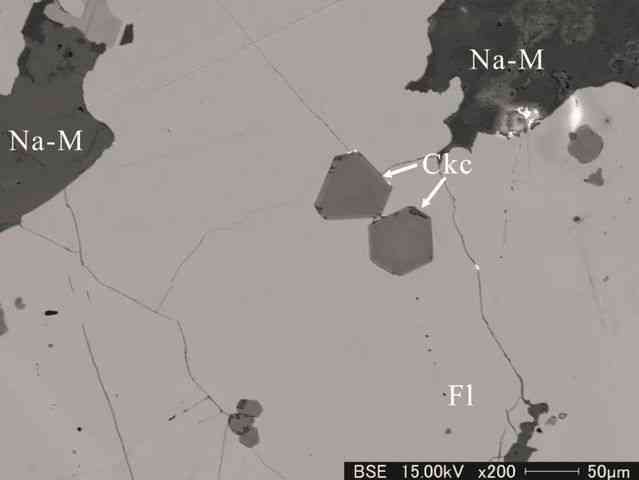 什么软件可以鉴定玉石的真假(正规玉石交易平台)