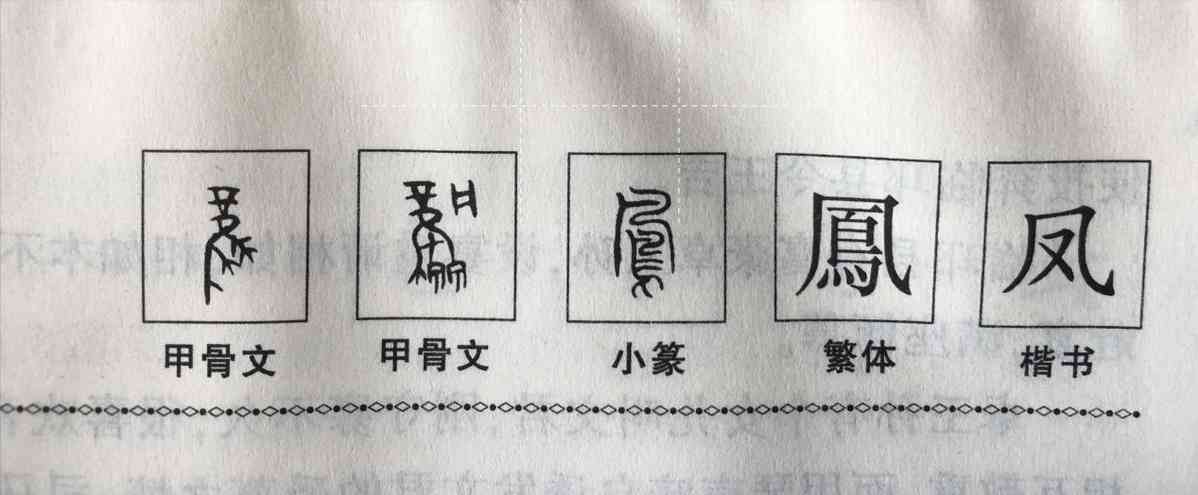 翡翠凤凰的寓意(翡翠凤凰的寓意与象征)