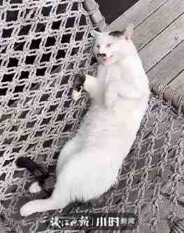 女孩过生日送什么礼物合适(6岁女孩过生日送什么礼物合适)