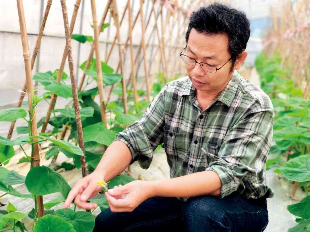 2016年黄金价格多少钱一克(2016年黄金多少钱一克)