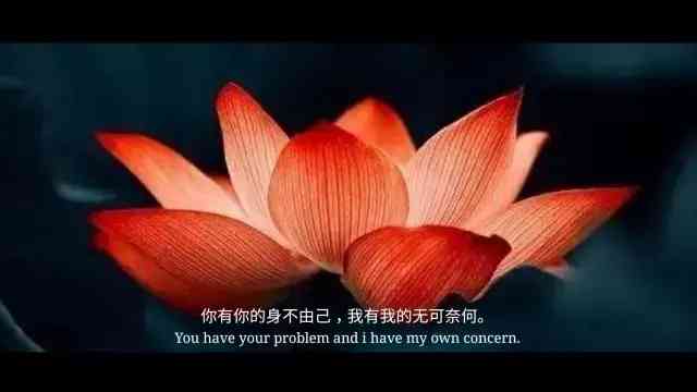 琥珀是怎么形成的过程(琥珀是怎么形成的过程50字)