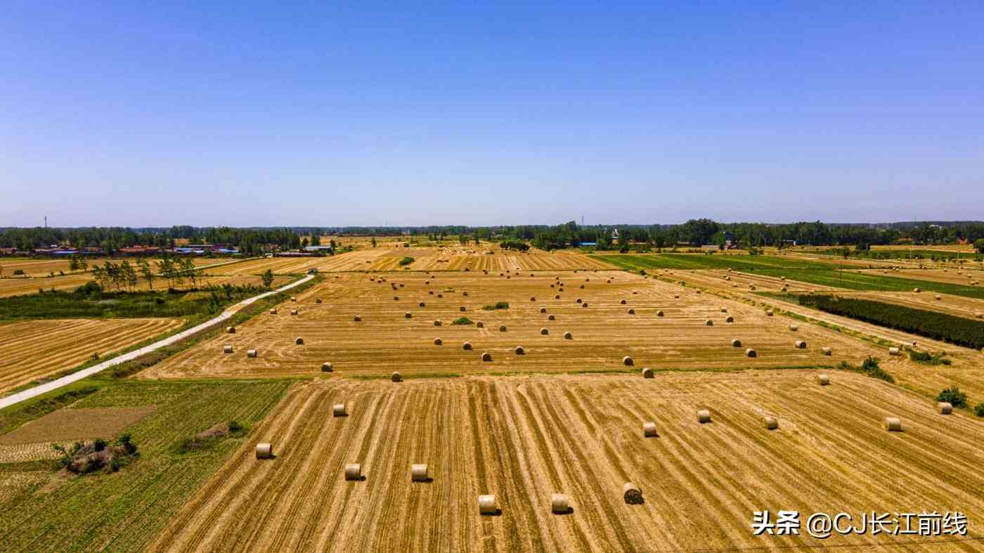 淮滨今日黄金价格查询表(今日淮安黄金价格)