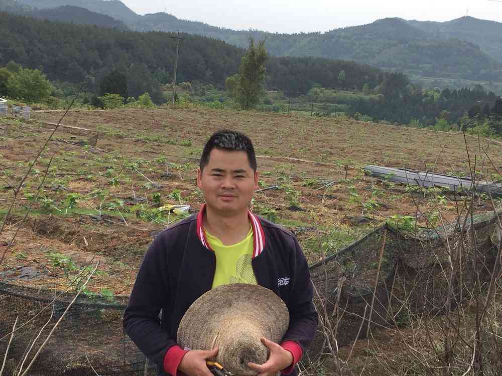 阆中二手黄金价格表今日(阆中市二手货家具交易市场)