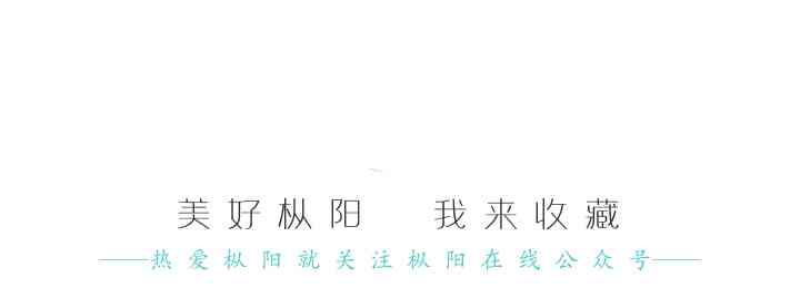 枞阳钱桥今日金价(铜陵枞阳县钱桥镇)